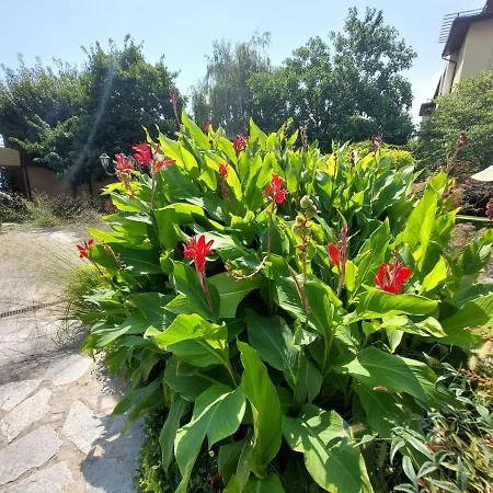 Apartmán Eden - Garden Of Eden Sveti Vlas
